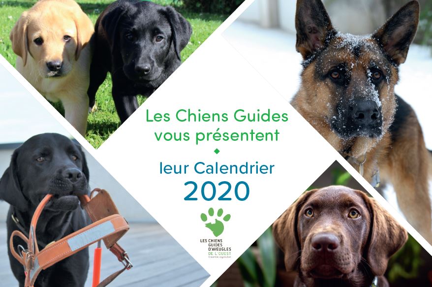 Couverture.JPG