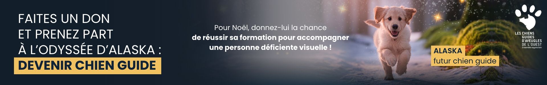 Design sans titre (8).jpg